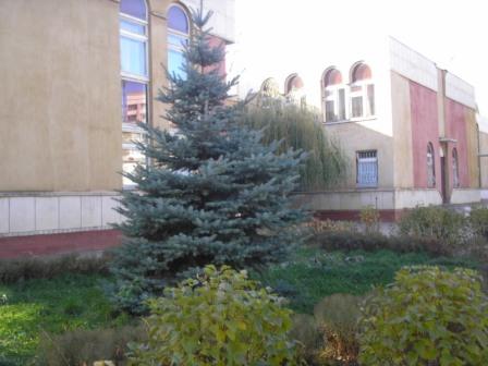 Муниципальное дошкольное образовательное учреждение «Детский сад комбинированного вида №11» г. Энгельса Саратовской области